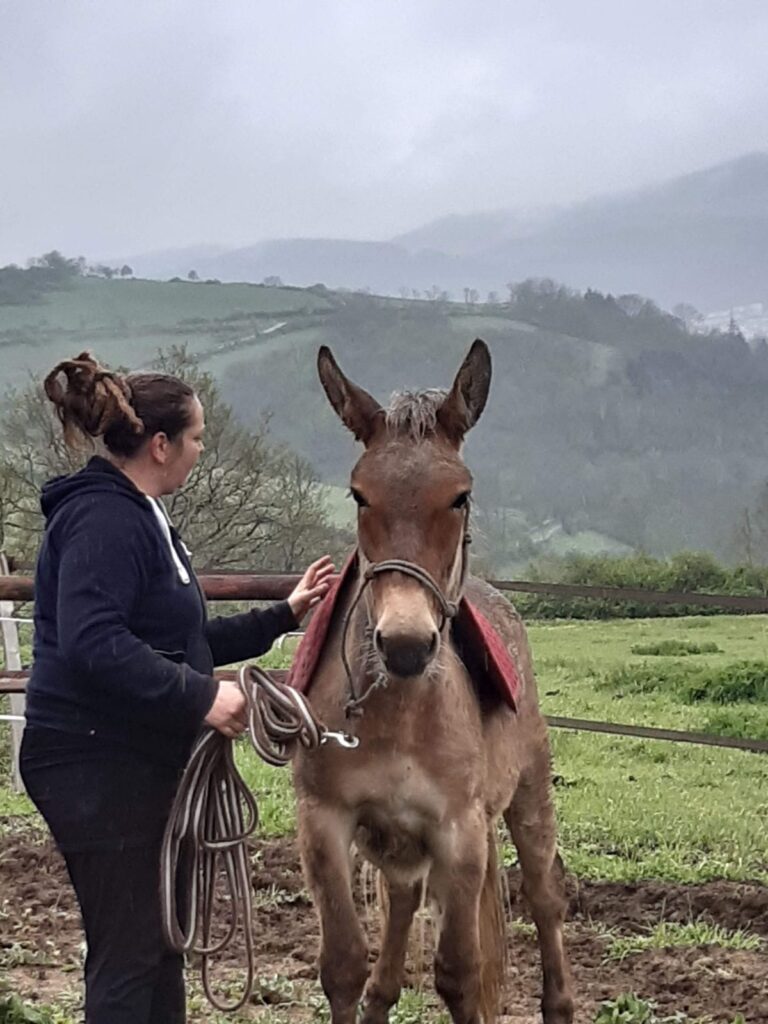Prissilia en activité de débourrage de chevaux à la ferme du petit peisselay